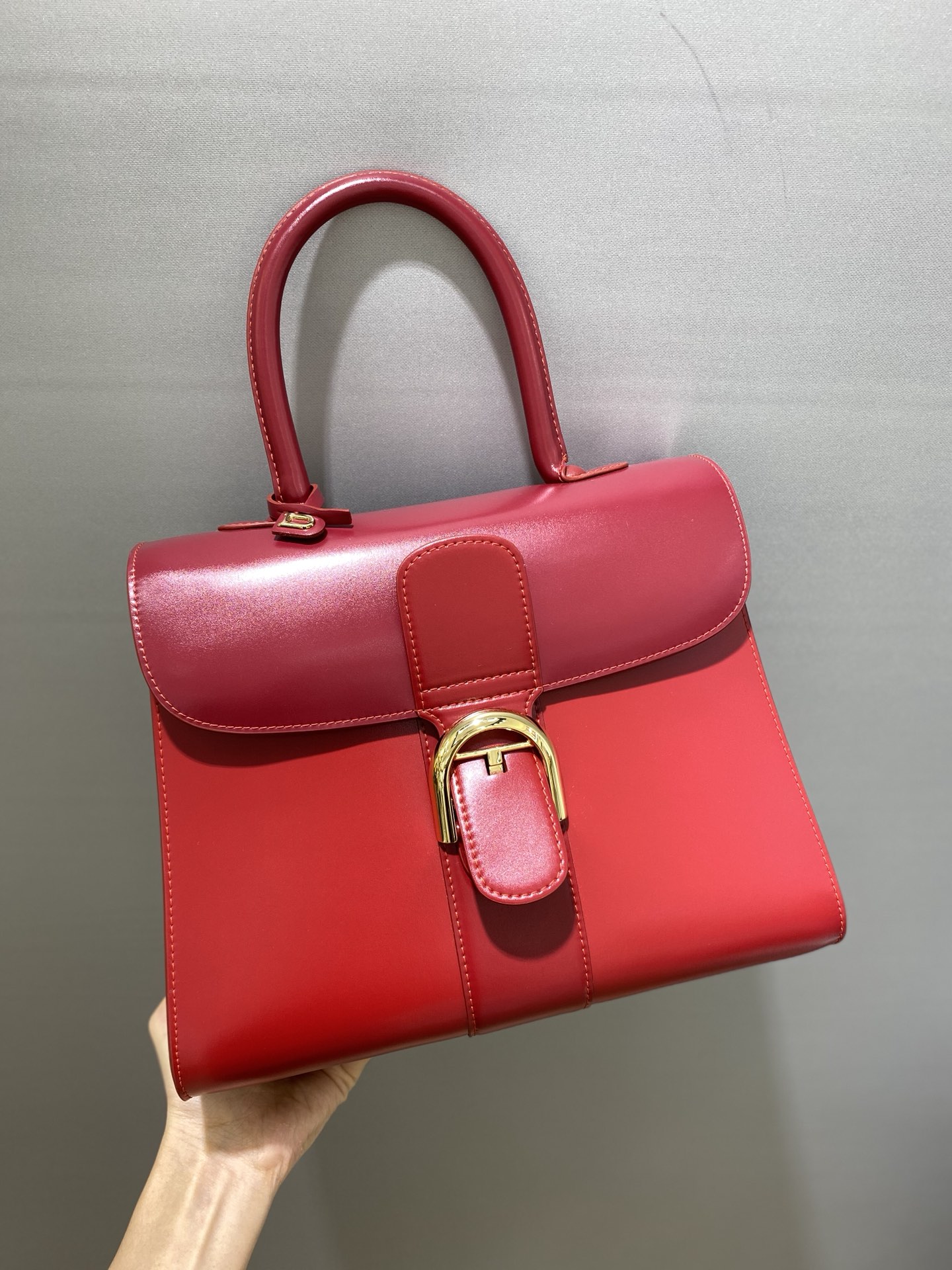 델보 브리앙 박스백 미듐